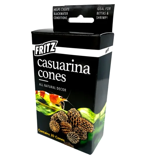 Fritz Casuarina Cones 20pk